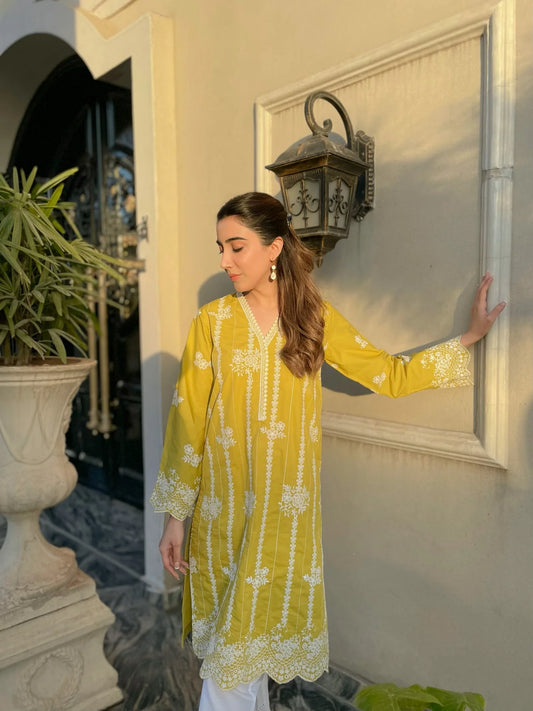 Schiffli on sale embroidery kurta